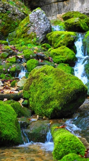 moss covered boulders near waterfalls during daytime thumbnail
