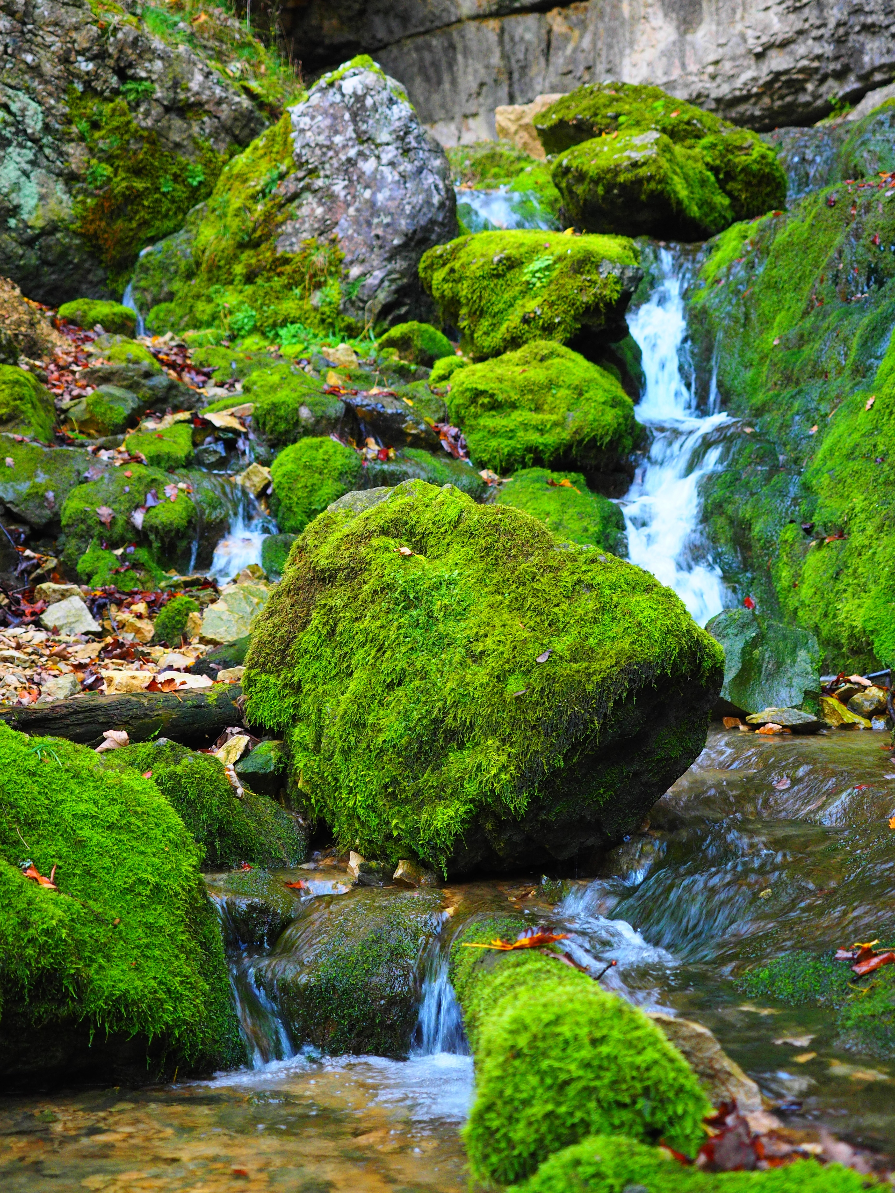 moss covered boulders near waterfalls during daytime
