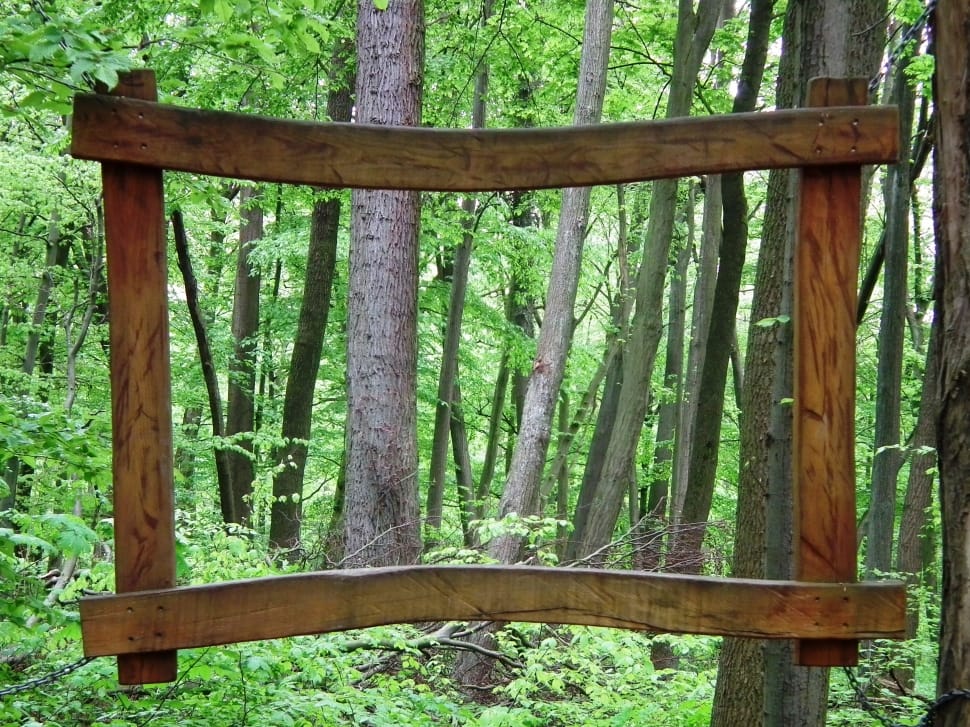 rectangular brown wooden frame in the woods preview