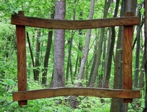 rectangular brown wooden frame in the woods thumbnail