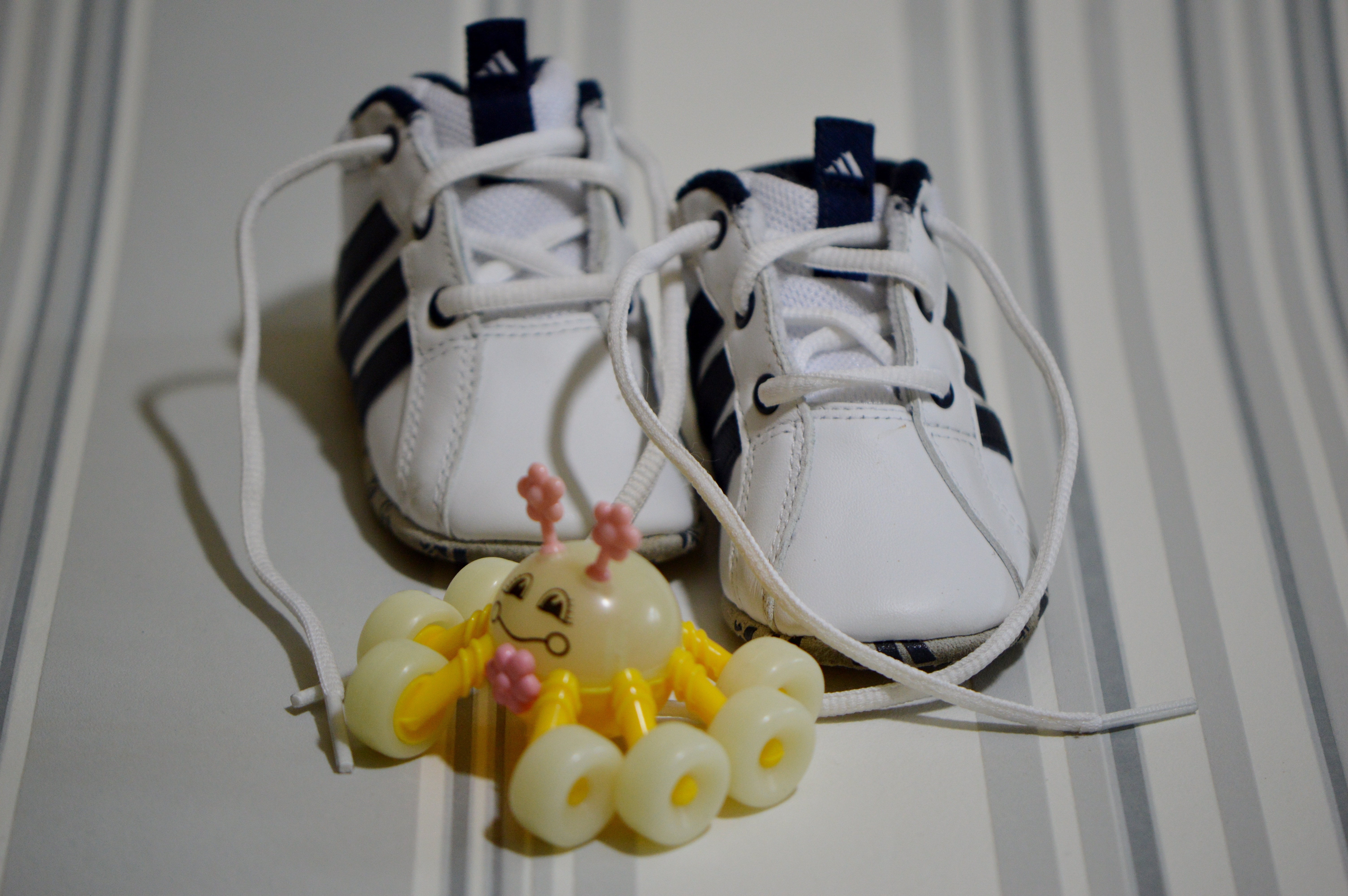 Baby Shoes, Baby, Sports Shoes, Adidas, indoors, studio shot