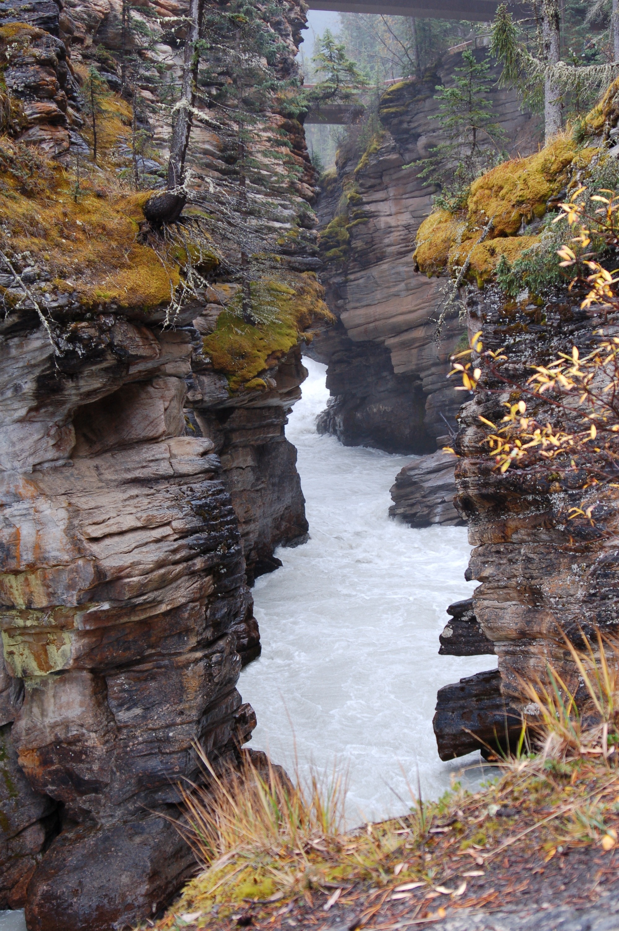 Canyon, River, Gorge, Stream, Landscape, nature, rock - object