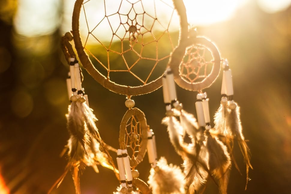 brown and white dreamcatcher preview