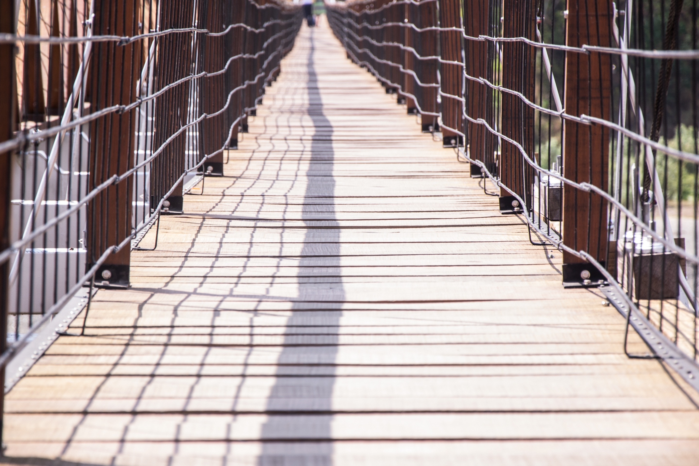 brown wooden hanging foot bridge