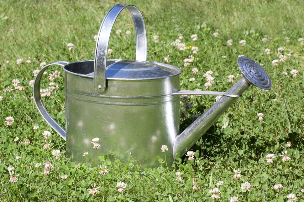 Sprinkler, Vessel, Watering Can, Casting, grass, field preview