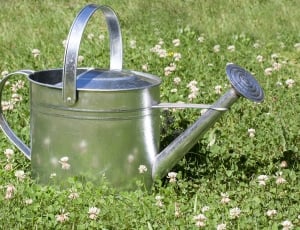 Sprinkler, Vessel, Watering Can, Casting, grass, field thumbnail