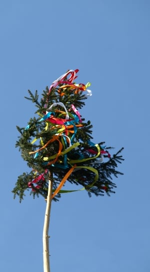 green tree with orange, blue and red straps thumbnail