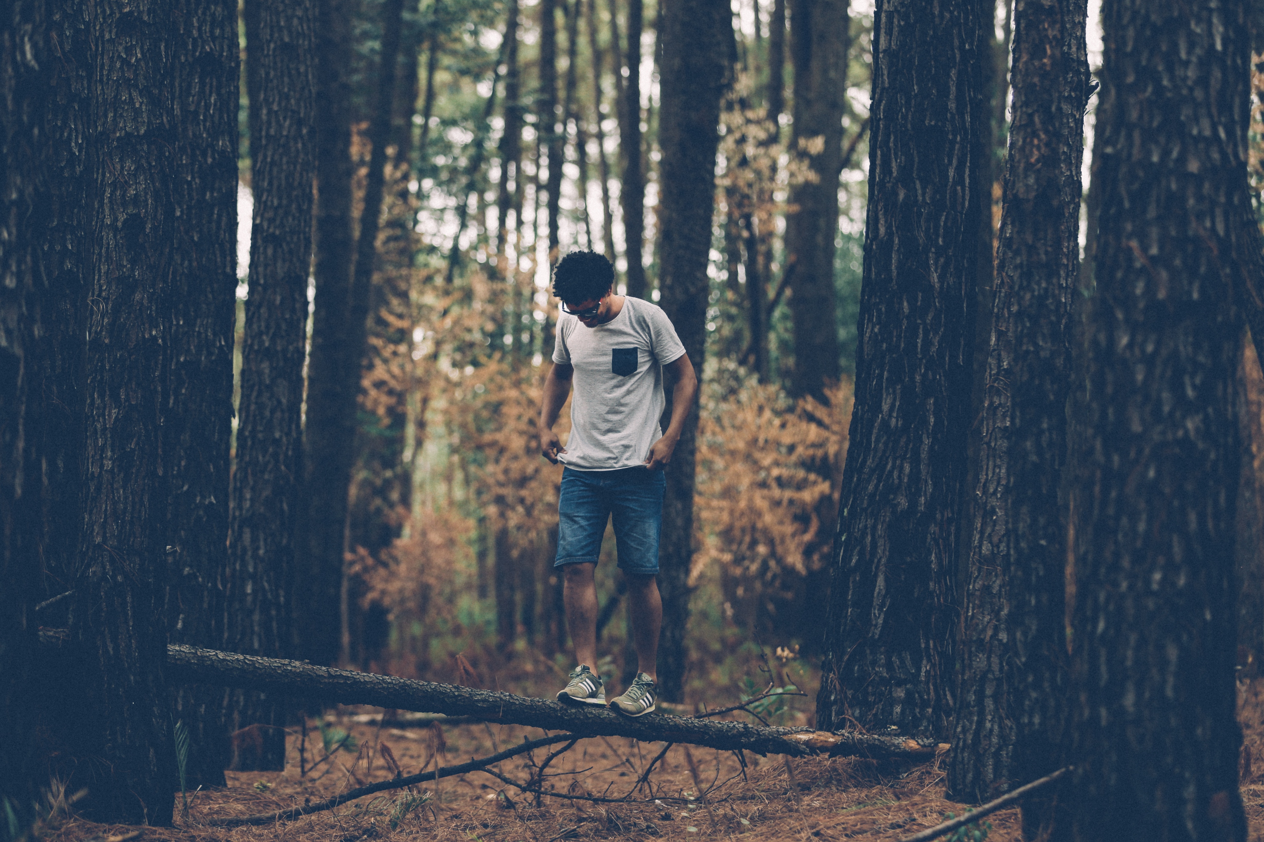 man wearing white crew-neck shirt standing on brown wooden tree branch during daytime