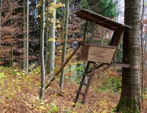 brown wooden watch tower thumbnail