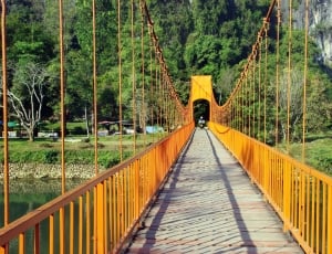 Vang Vieng, Bridge, Suspension Bridge, bridge - man made structure, tree thumbnail