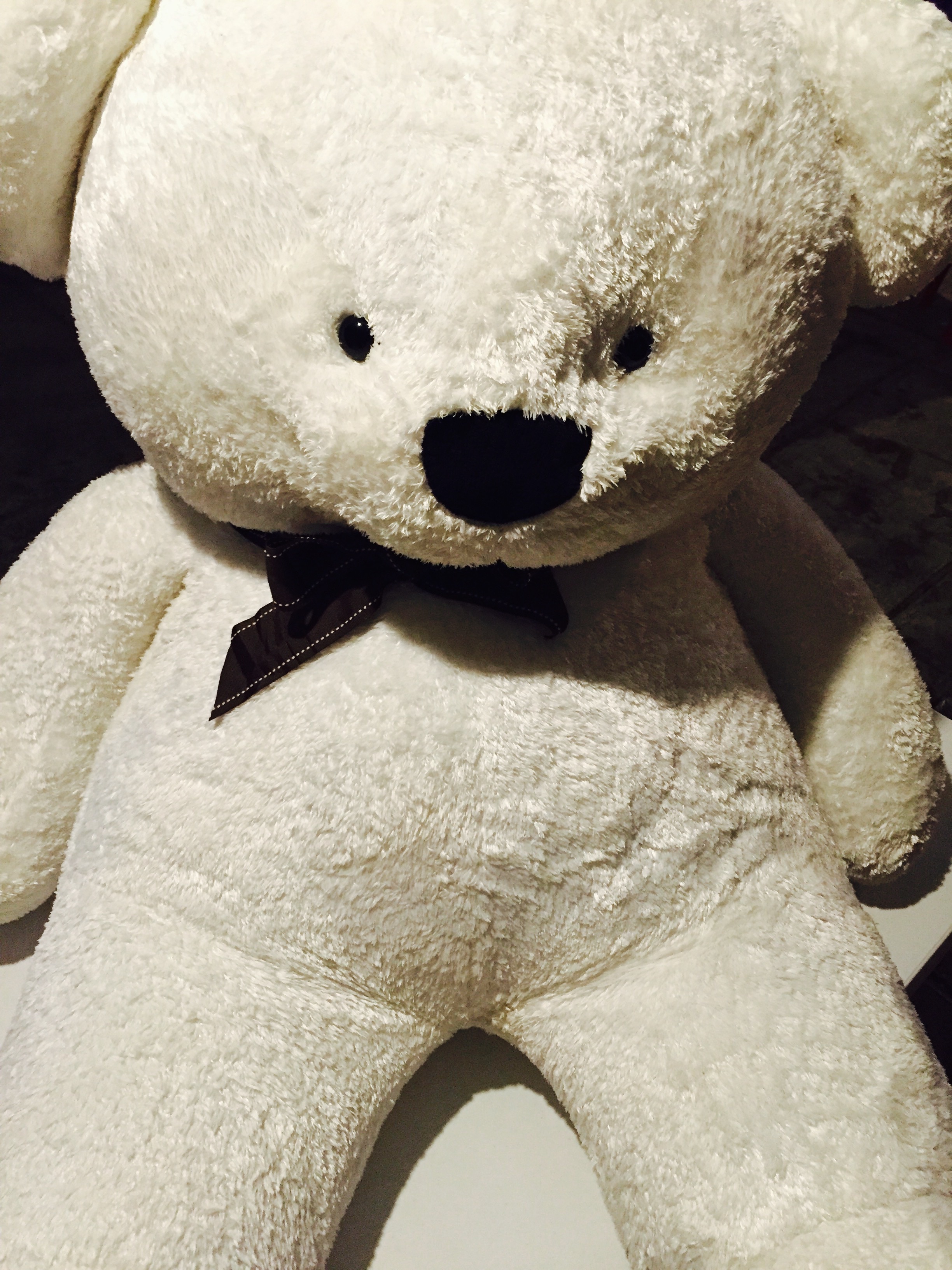 white bear plush toy