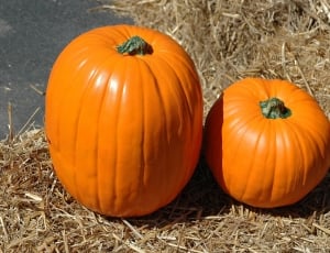 2 pumpkins thumbnail