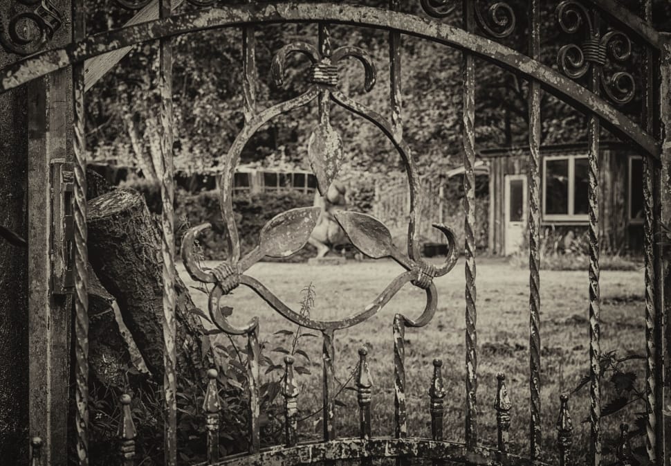 gray scale photo of metal gate preview