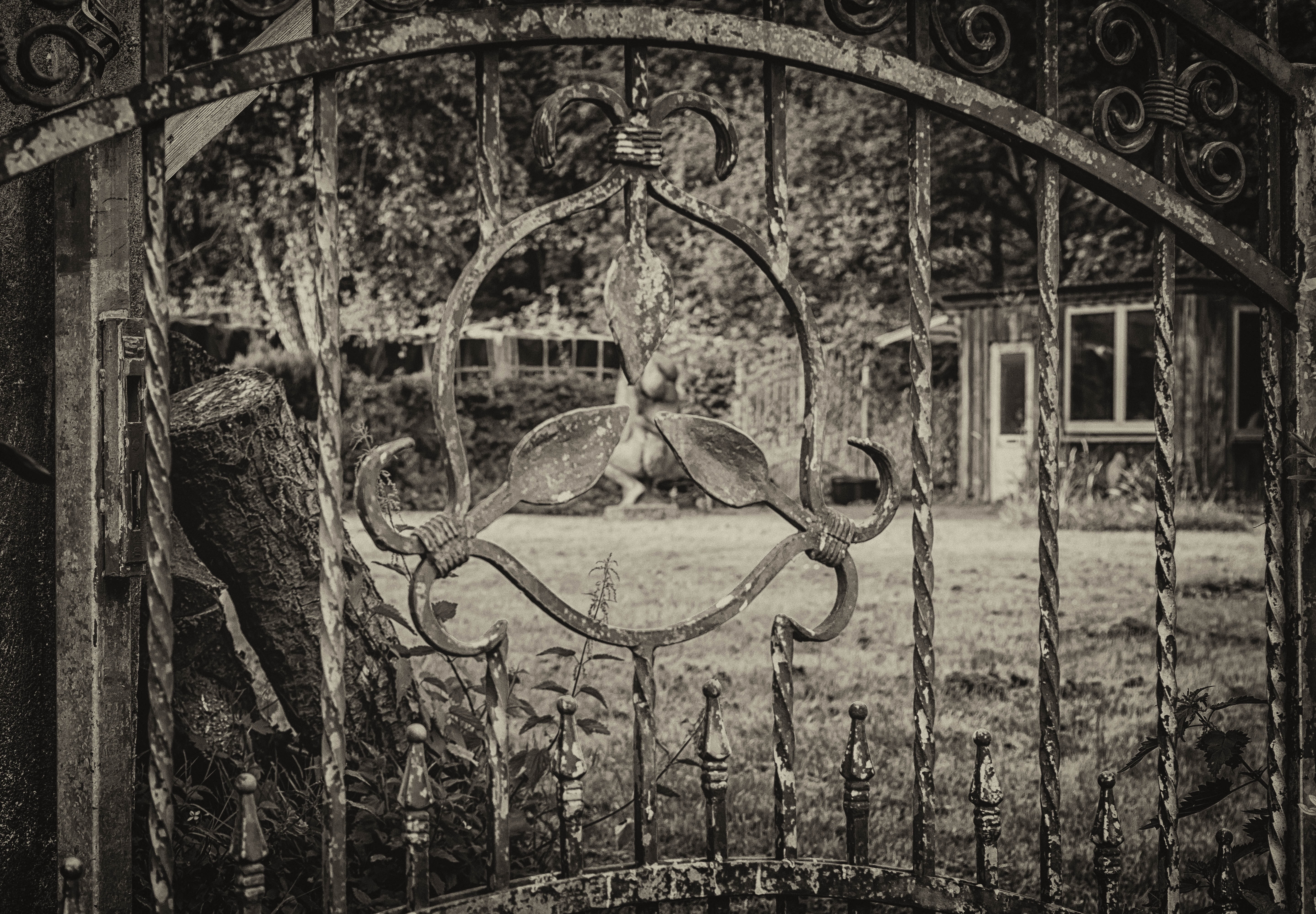 gray scale photo of metal gate