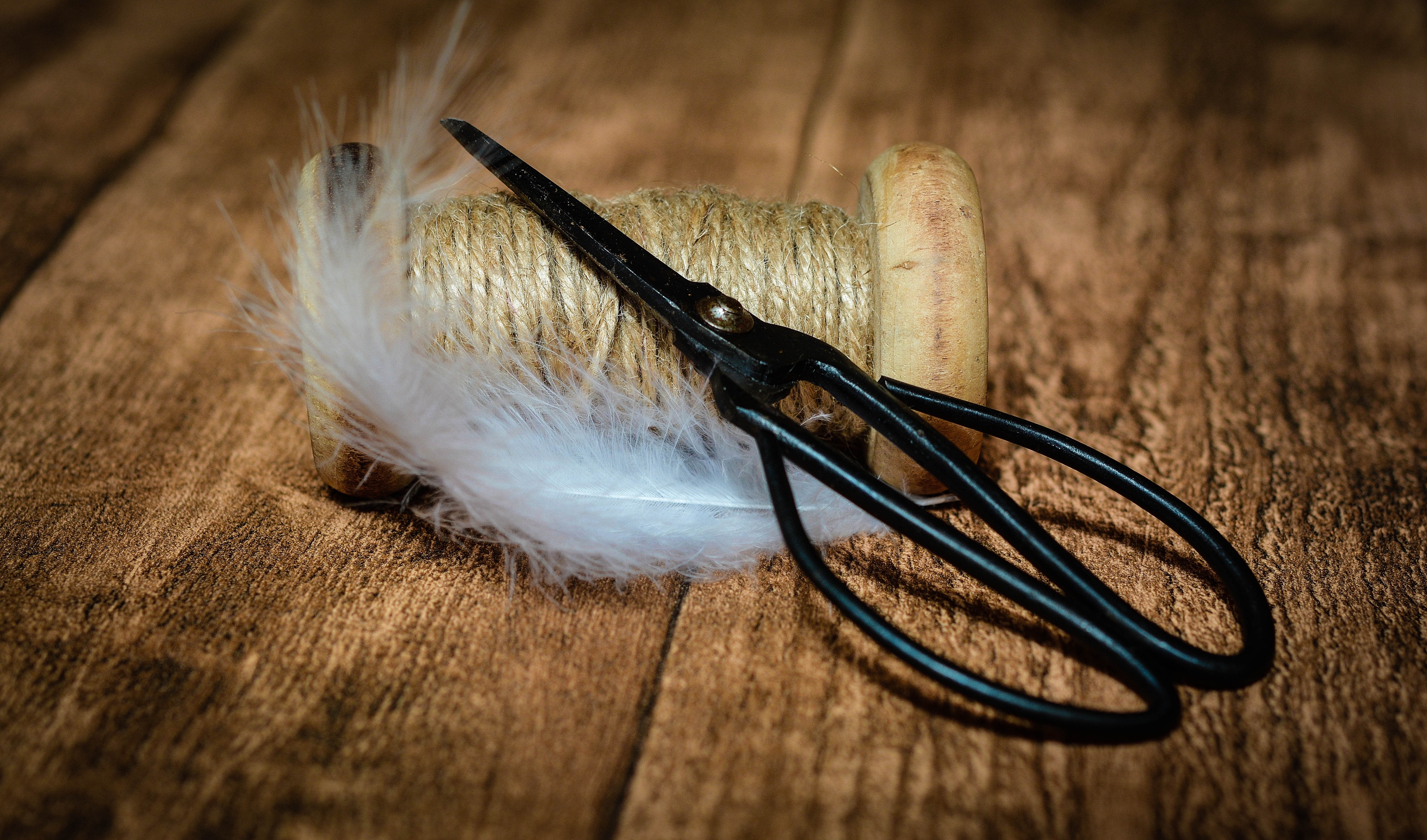 black scissors near rope reel with white feather