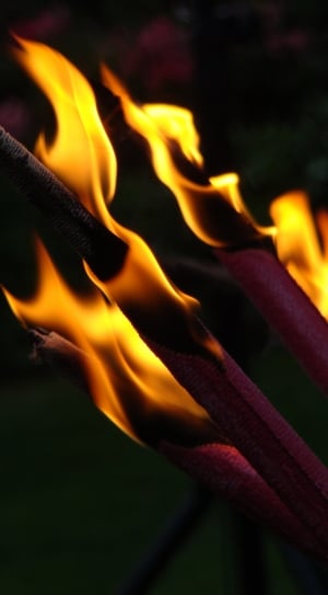 Fire, Remembrance Day, Torch, heat - temperature, flame thumbnail