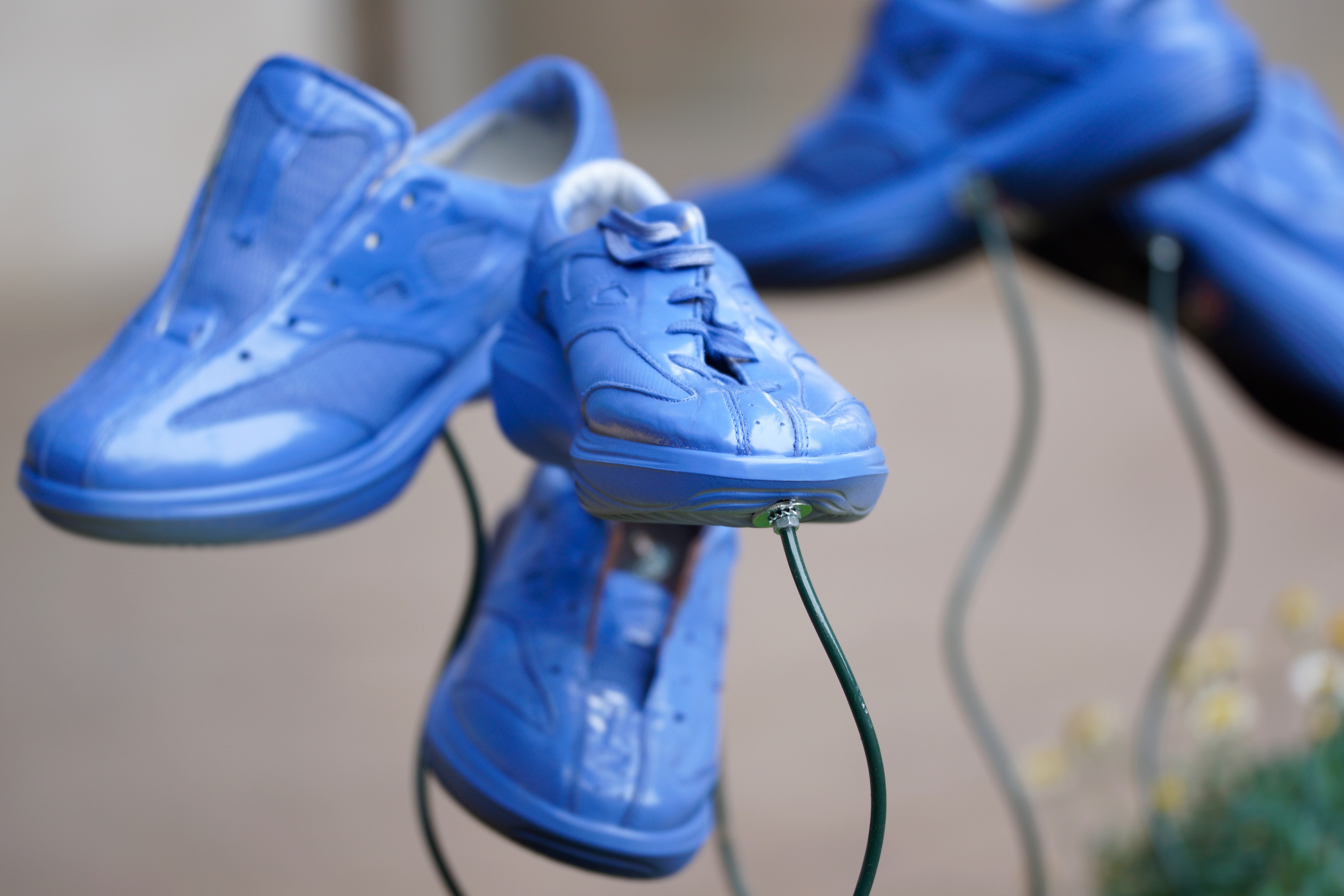 Sports Shoes, Flower Bed, Art, Shoes, blue, shoe