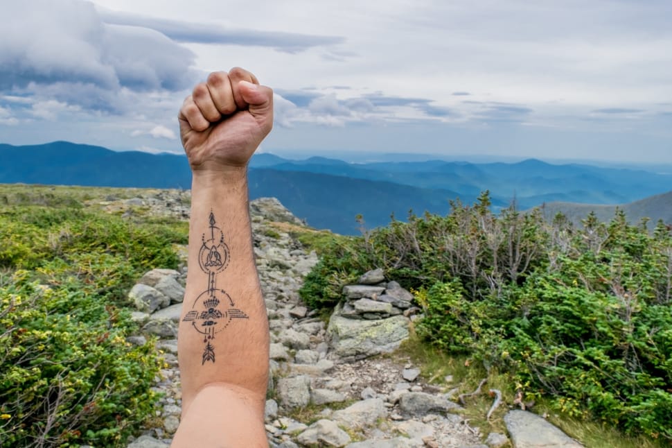 human right arm with tattoo near plant and mountains at daytime preview
