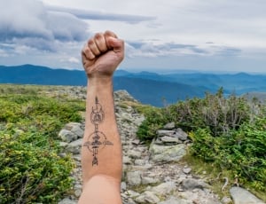 human right arm with tattoo near plant and mountains at daytime thumbnail