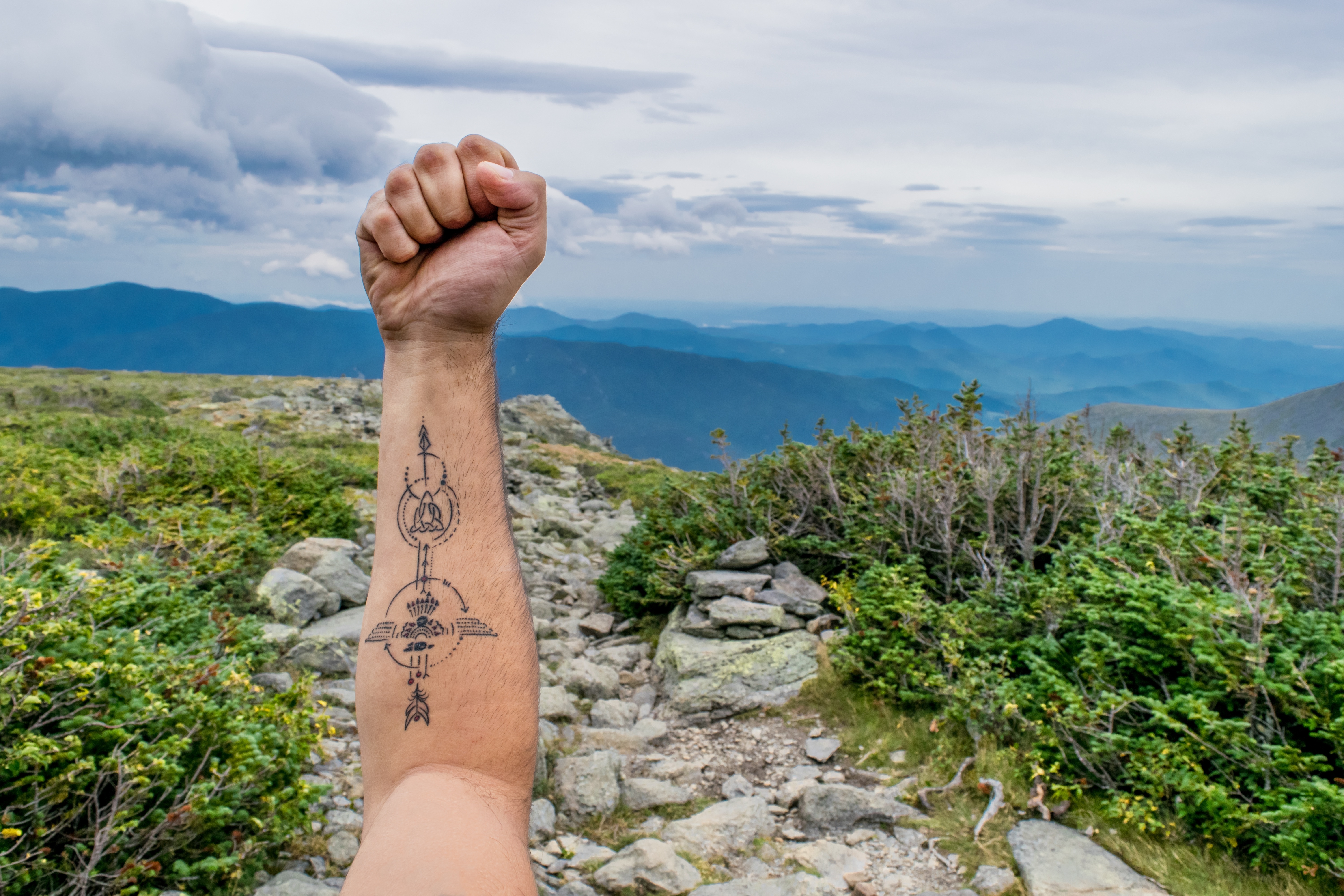 human right arm with tattoo near plant and mountains at daytime