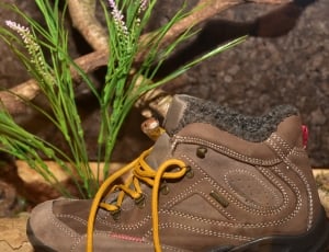 brown and grey shoe thumbnail