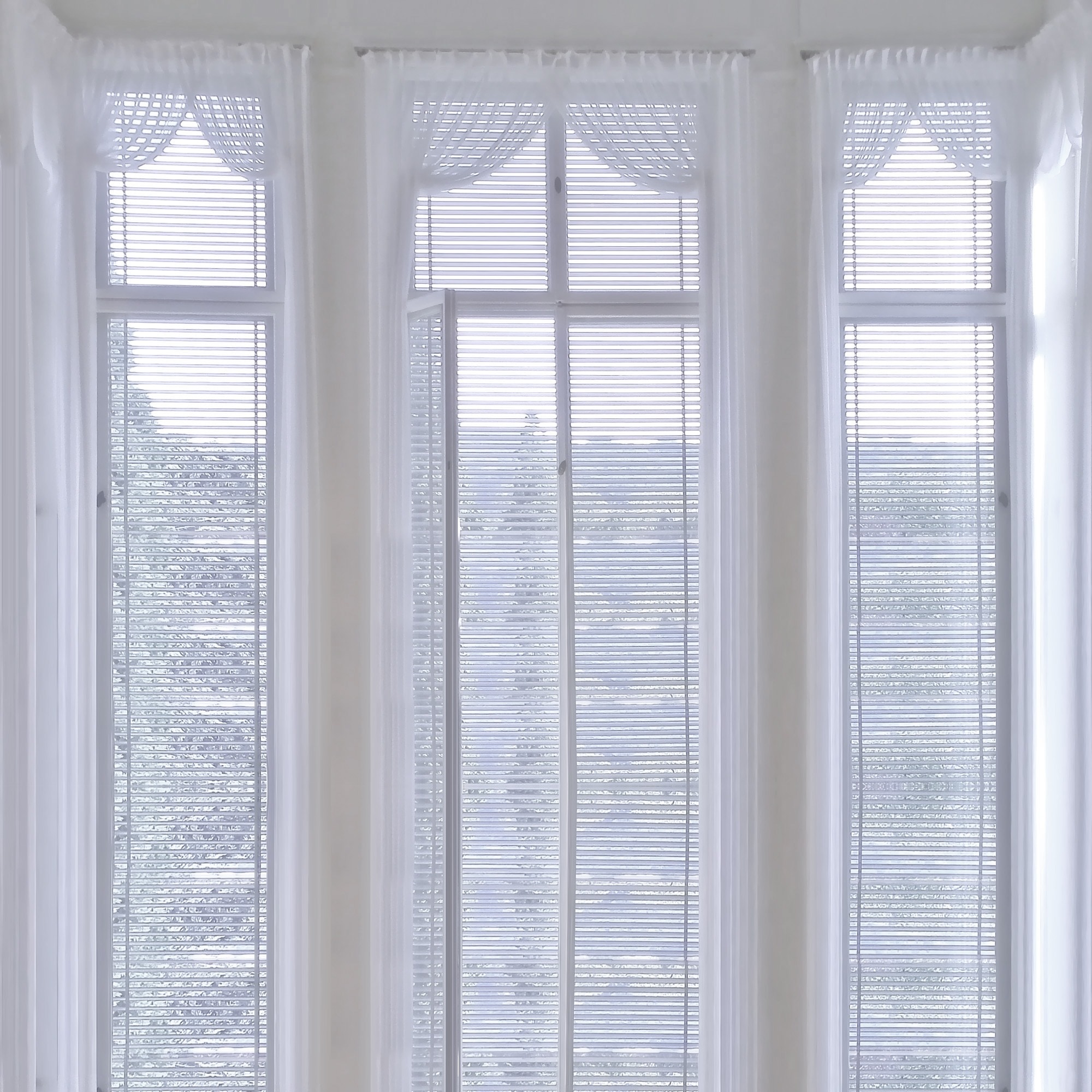 white windows blinds and mesh curtains