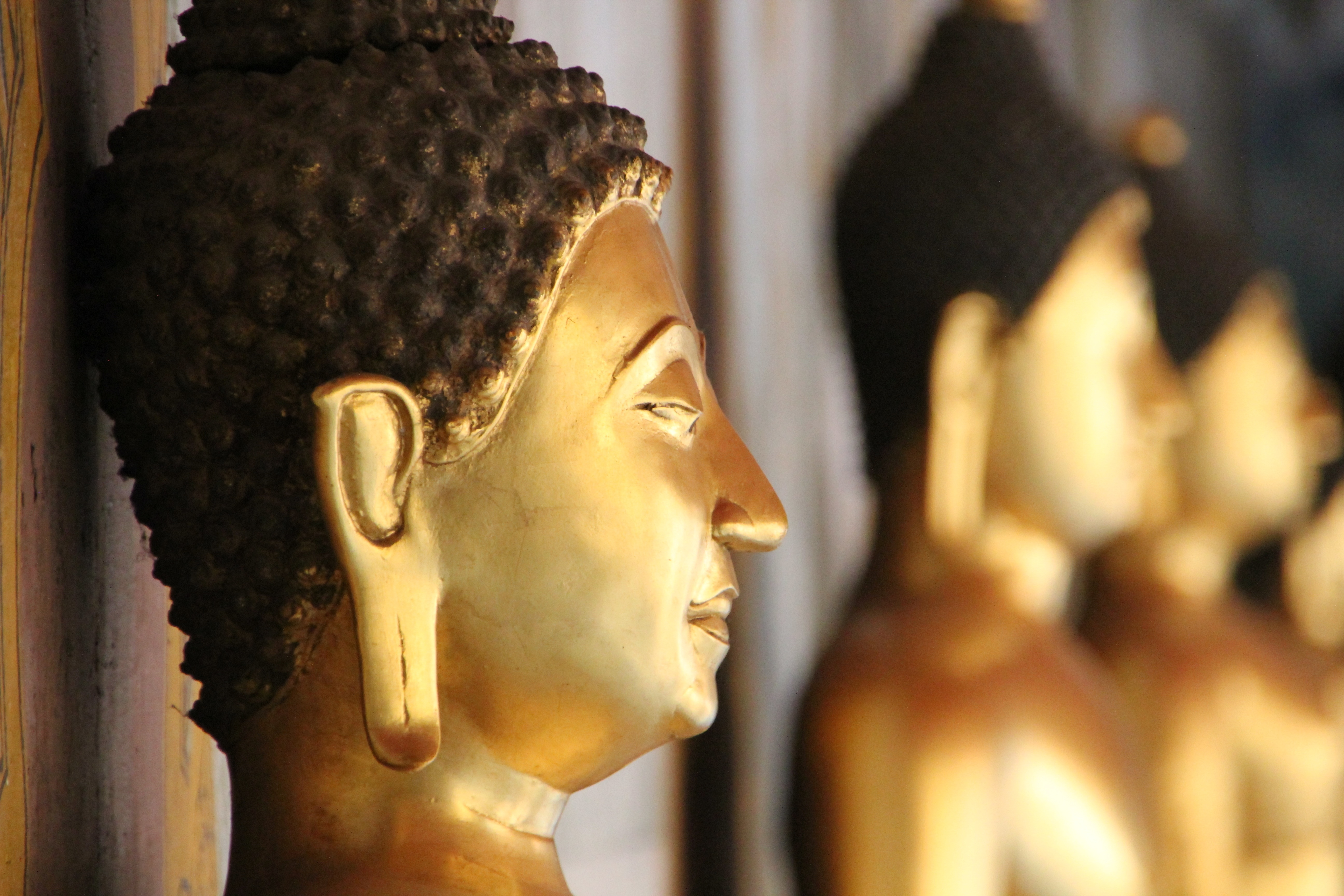 Помощник духовного лица на востоке 4. Гаутама Будда фото. Золотой Будда скульптура. Золотая статуя буддизма. Статуэтки Будды в Таиланде.