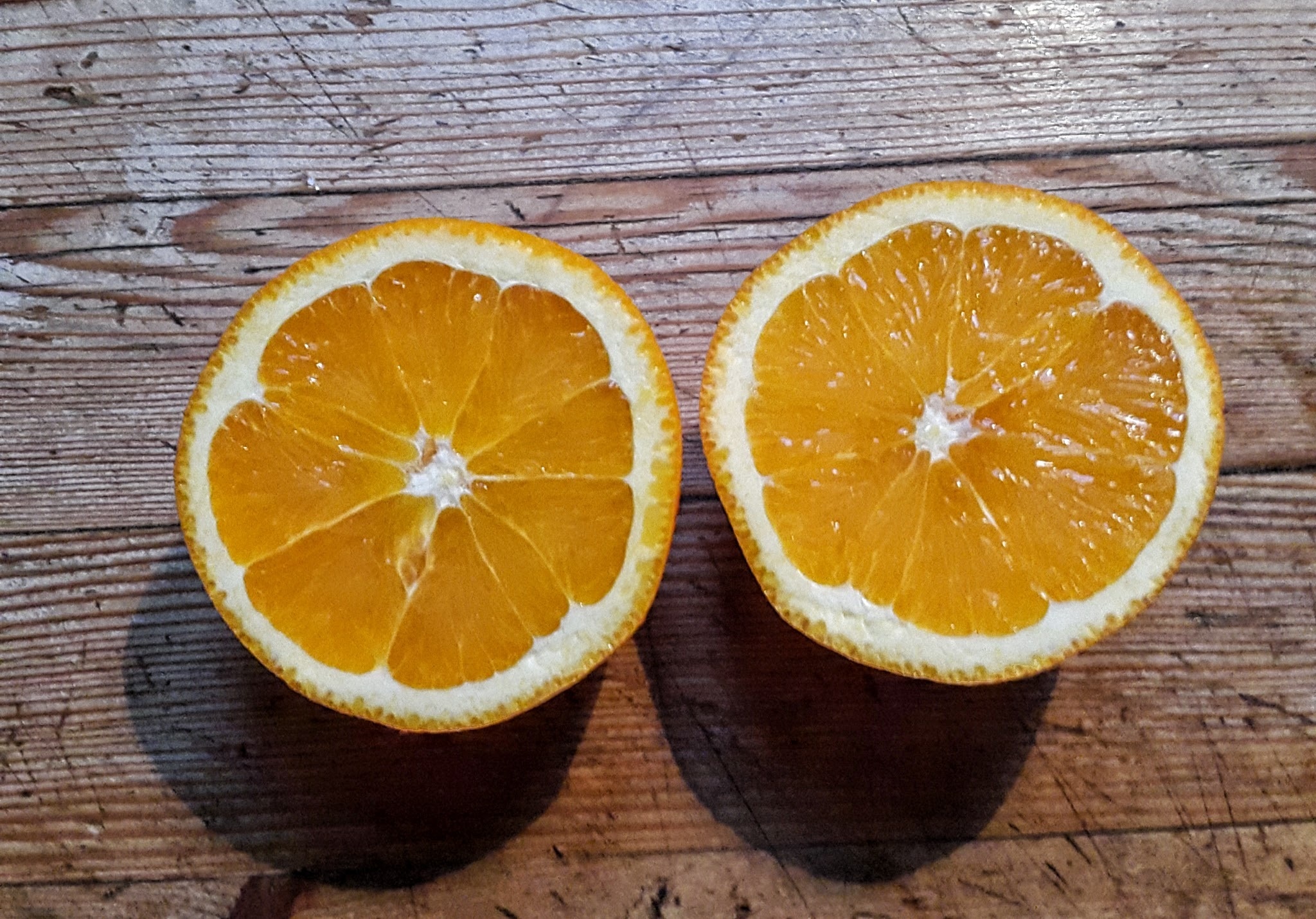 slice orange fruit