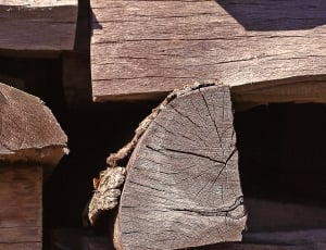 brown firewood thumbnail