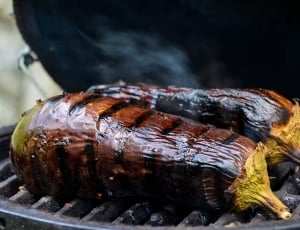 close up photography of 2 grilled barbecues thumbnail