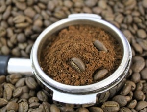 coffee seeds thumbnail