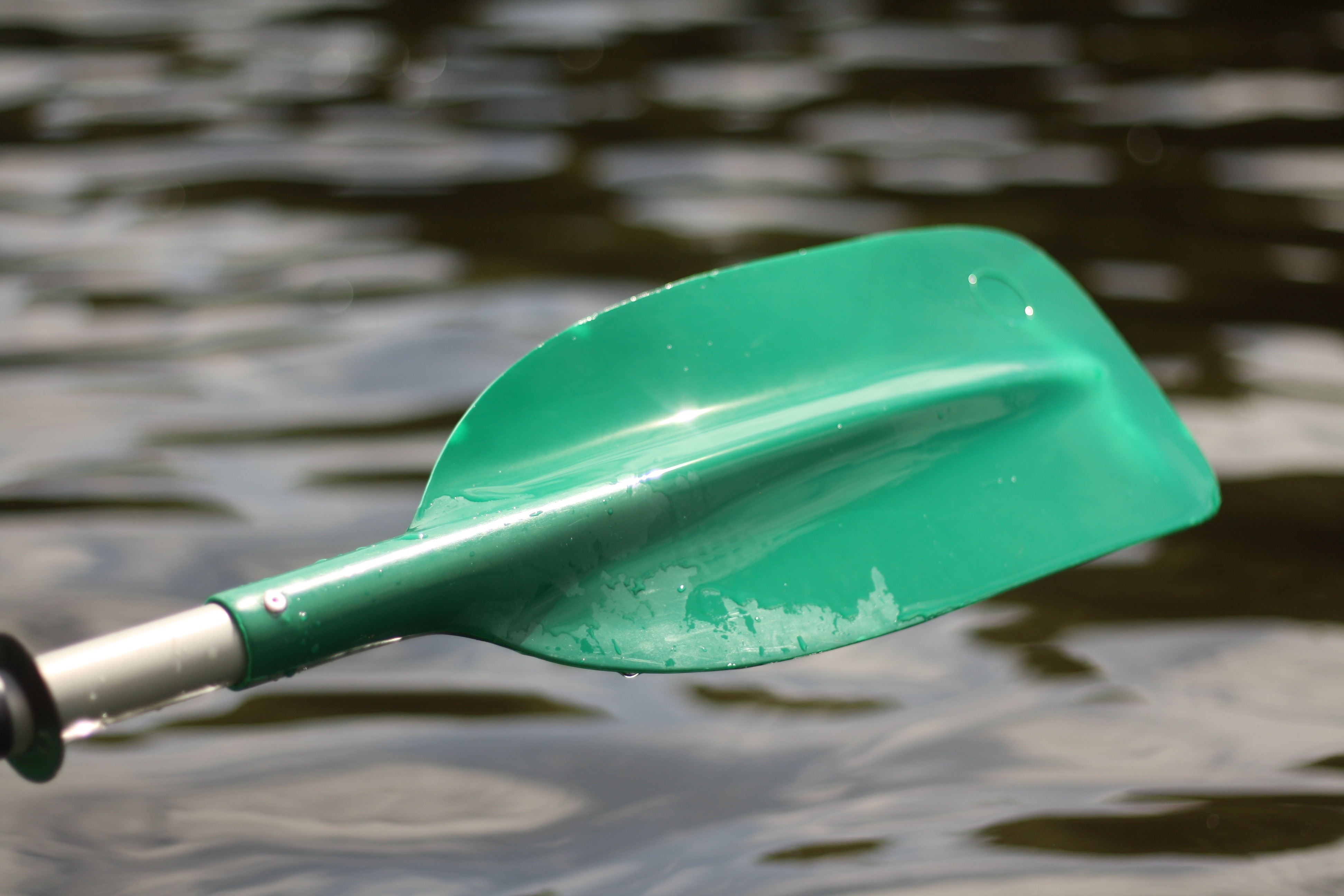 green paddle