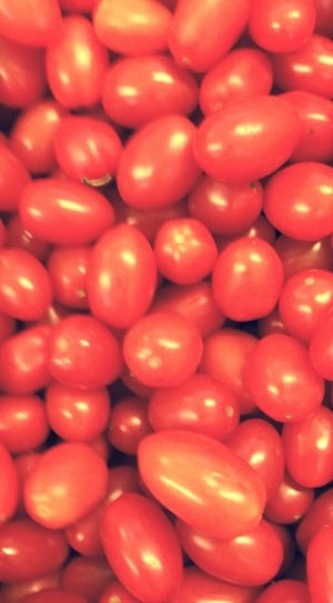 pile of tomatoes thumbnail