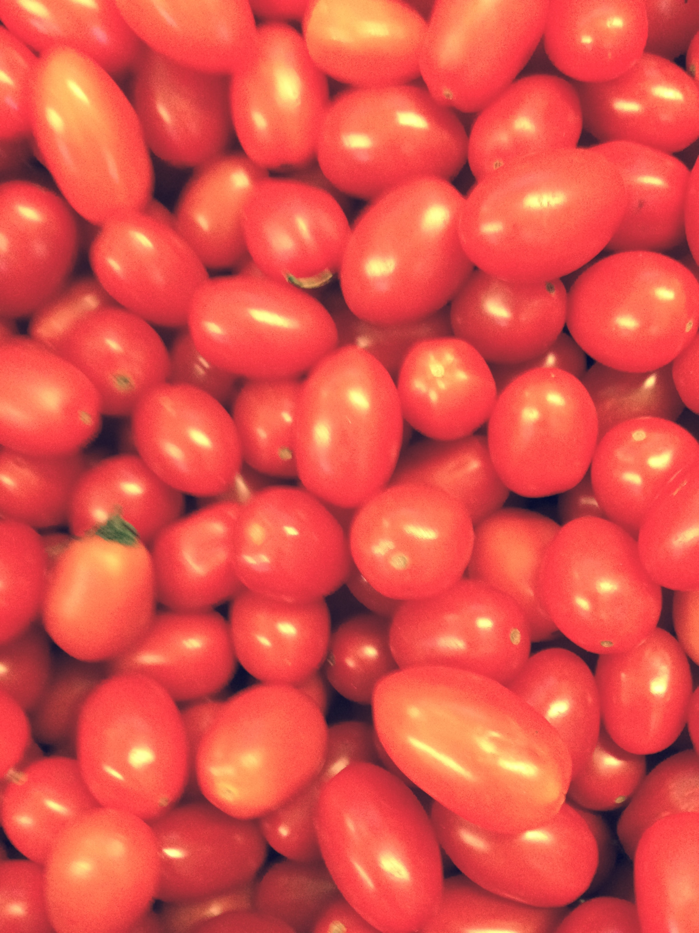 pile of tomatoes