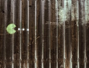 brown and green pacman print wall thumbnail