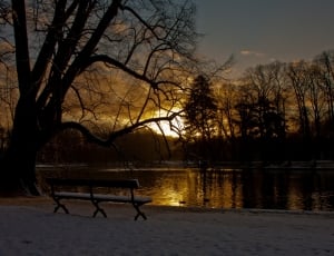 snow covered bench thumbnail