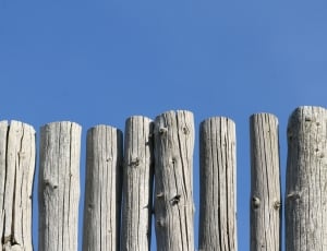 gray wooden logs thumbnail