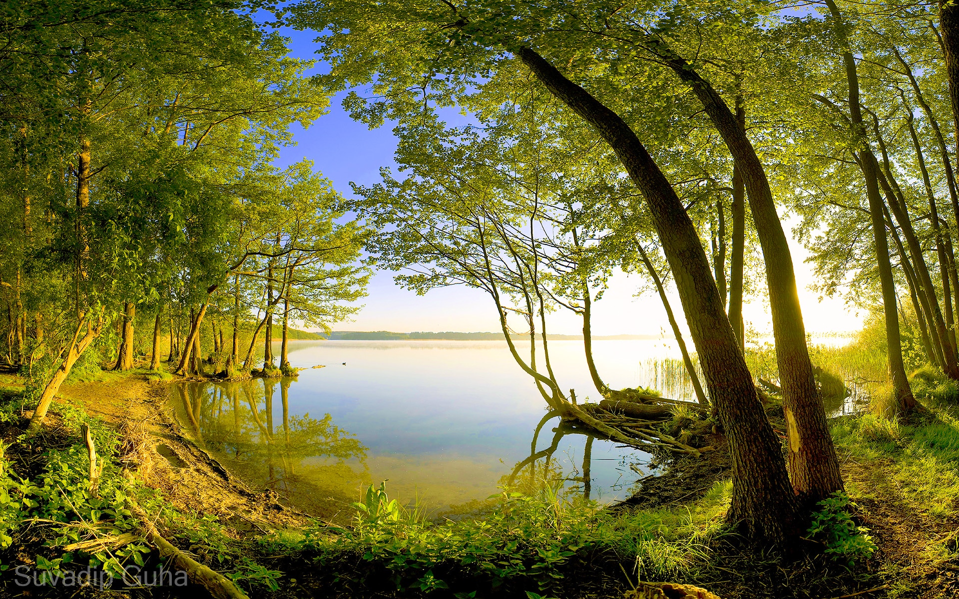 forest, lake, green trees, CPL filter, Wide-Angle