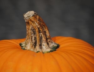 pumpkin vegetable thumbnail