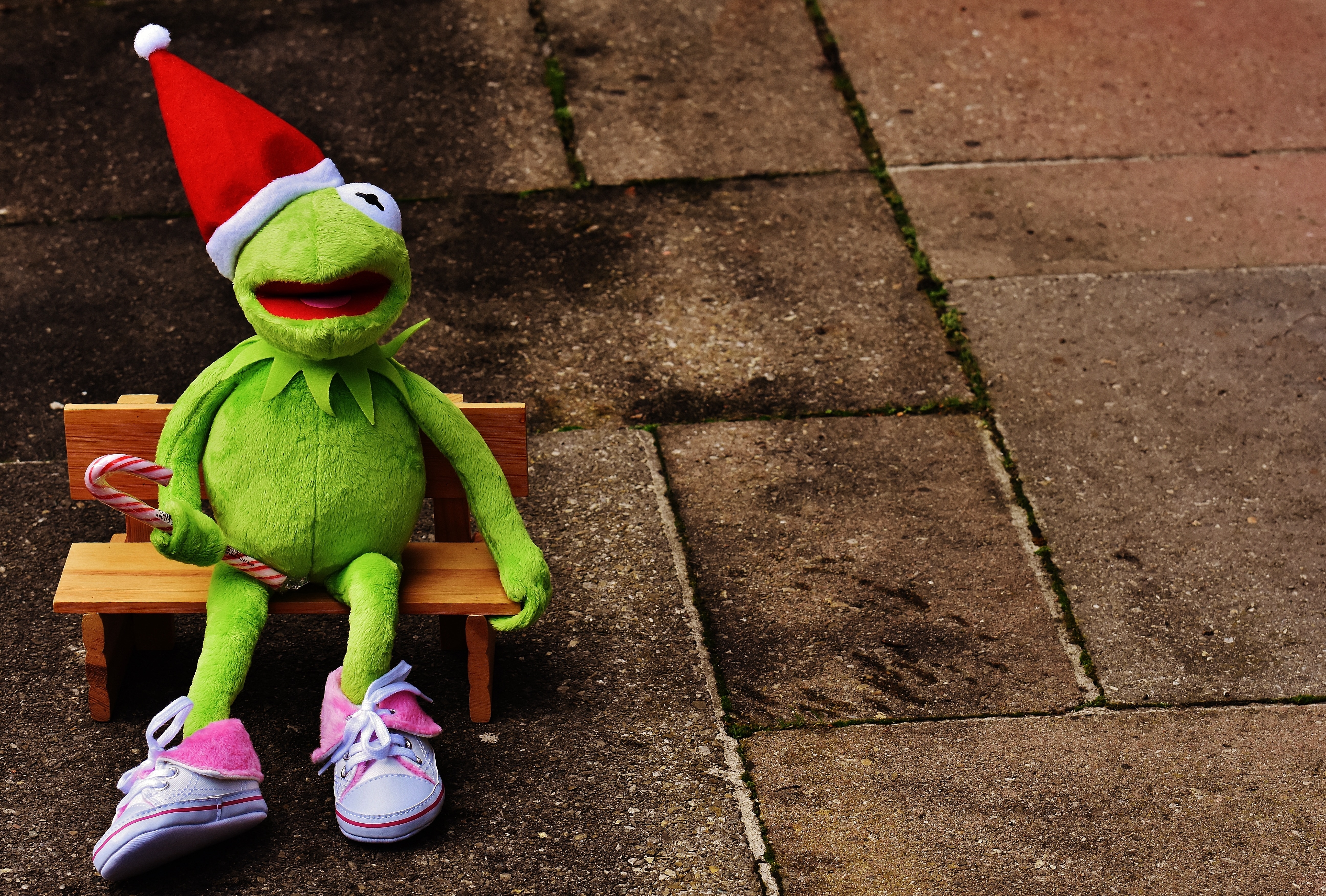 frog plush toy wearing santa hat