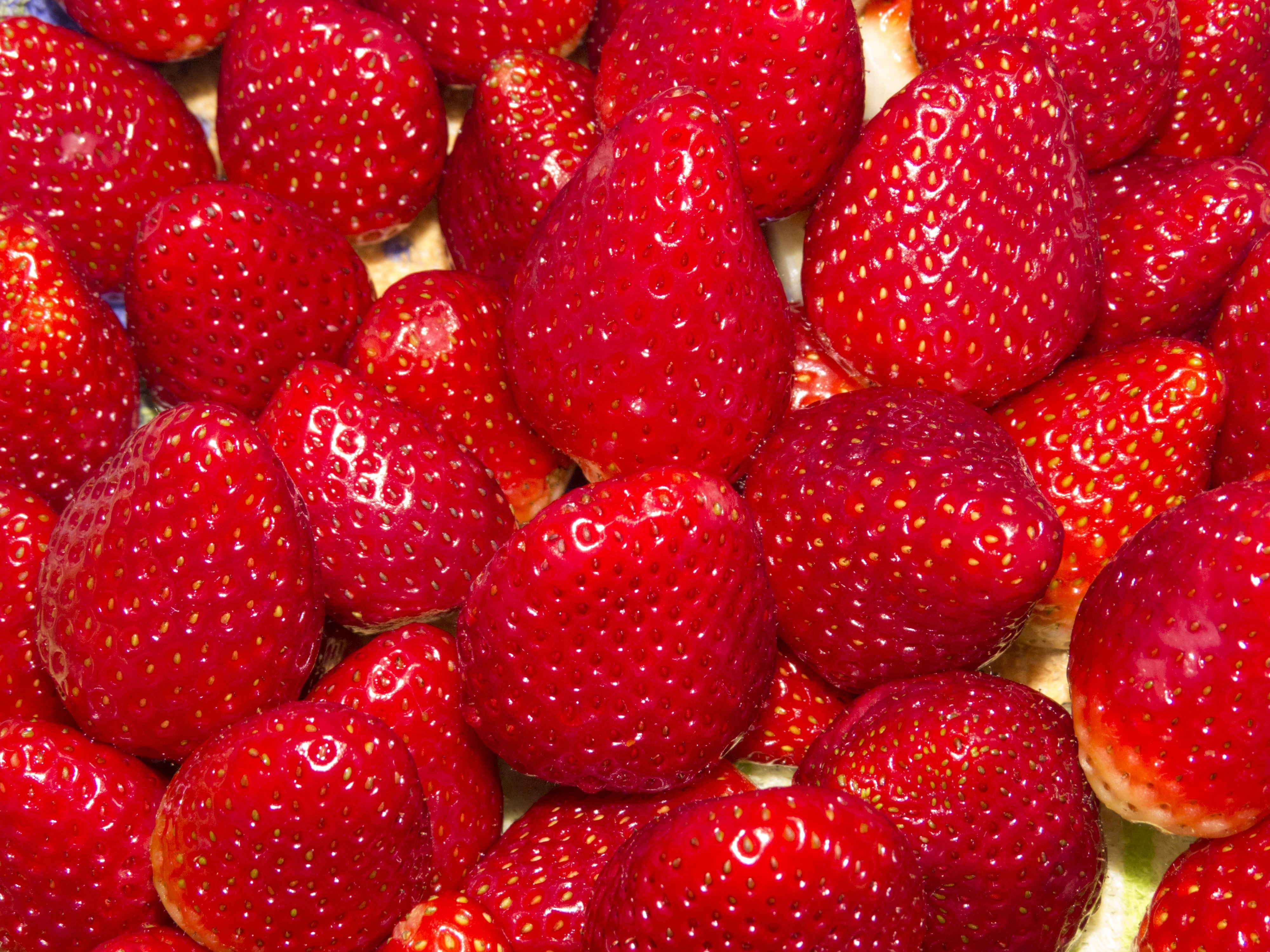 red strawberry fruit