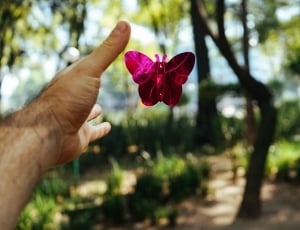 hand, arm, butterfly, trees, human hand, flower thumbnail