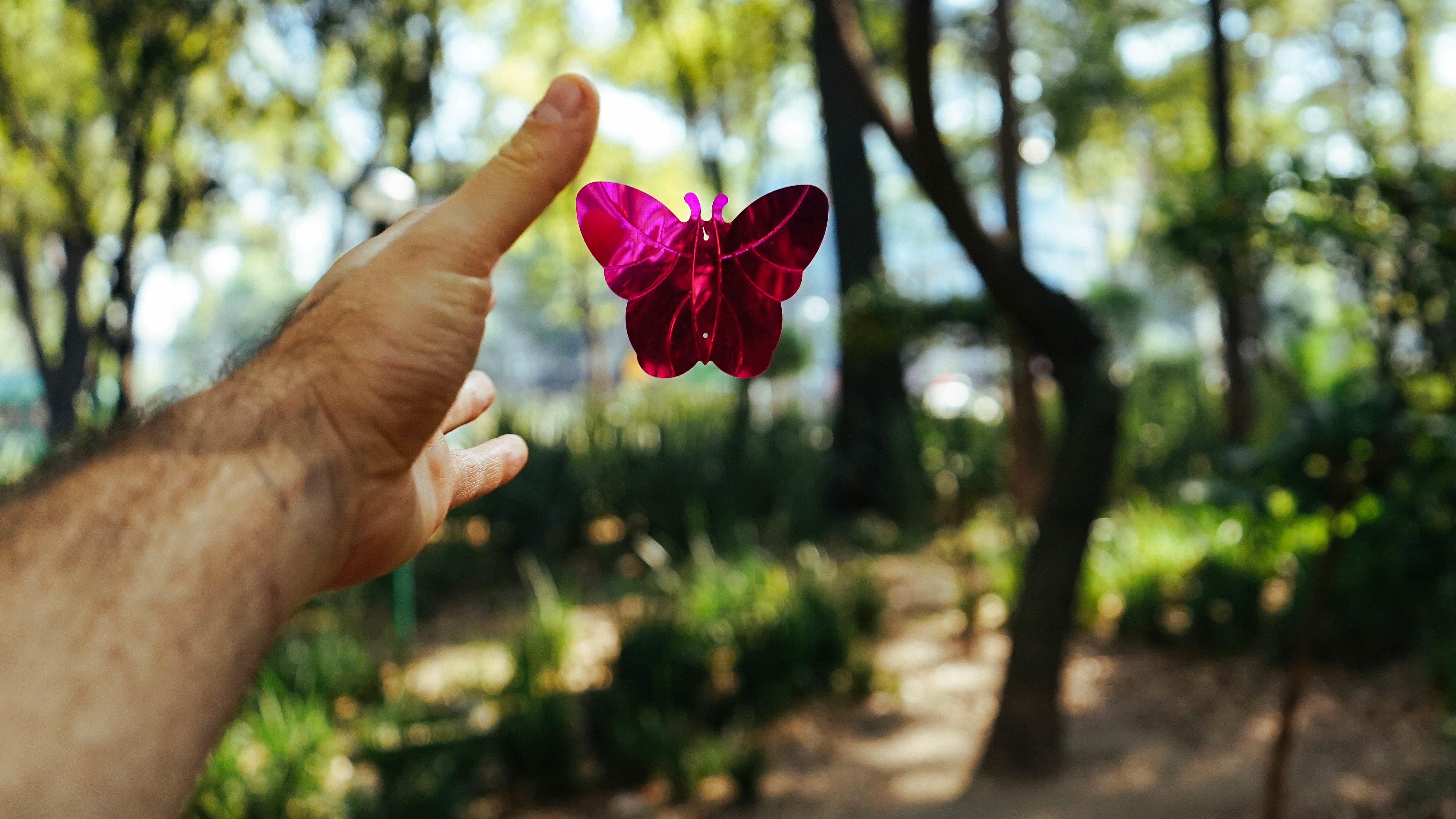 hand, arm, butterfly, trees, human hand, flower