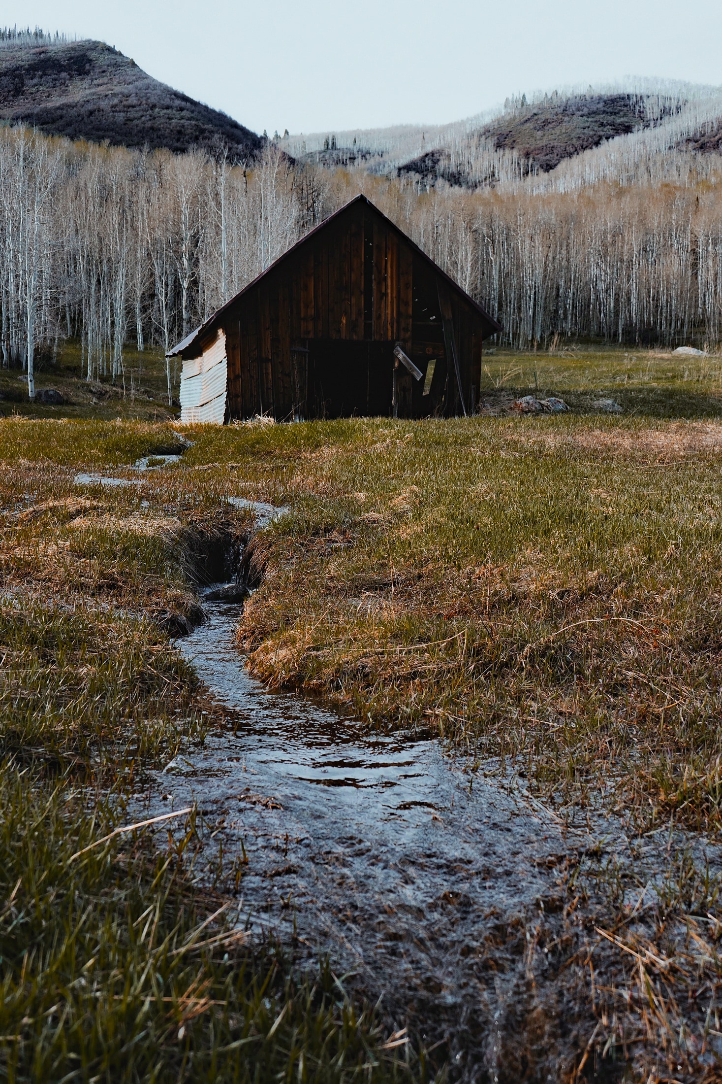 brown wooden barn