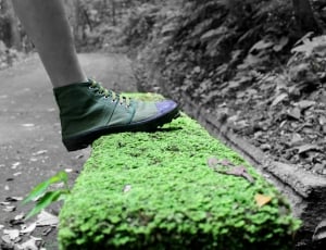 green, grass, outdoor, road, one man only, shoe thumbnail