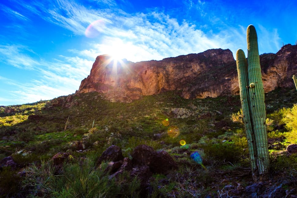 green cactus and white sun peaking over brown plateau under blue sky and white clouds preview