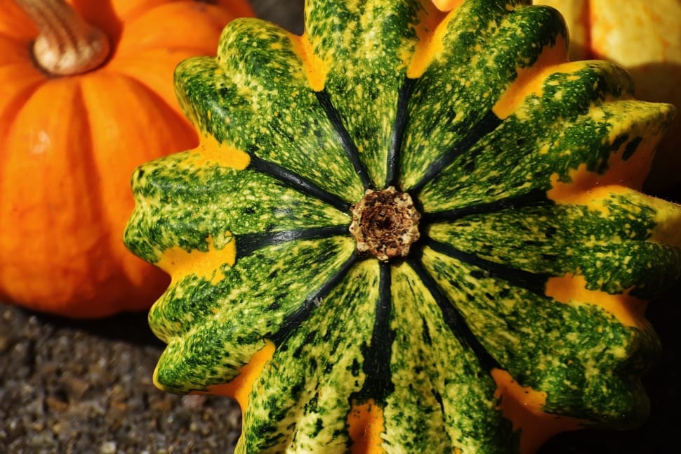 green and orange ceramic flower decor preview