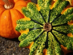 green and orange ceramic flower decor thumbnail