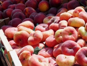 Colorful, Fruit, Vineyard Peach, Peach, food and drink, fruit thumbnail