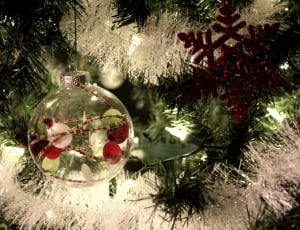 Ornament, Tree, Christmas, christmas, no people thumbnail